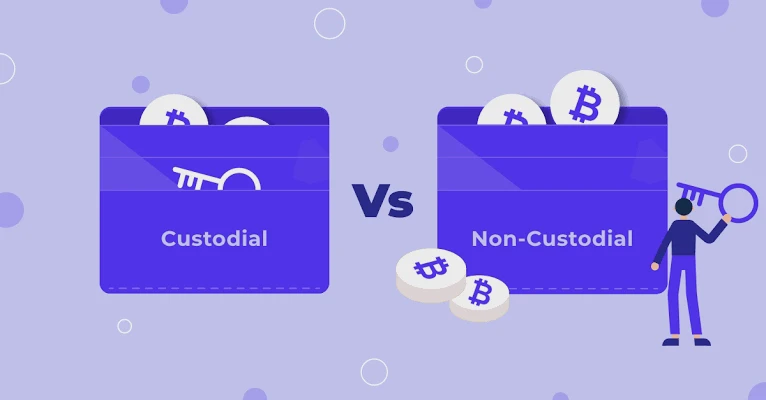 Non-custodial Security and Privacy Measures